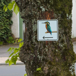 20130525 IMG 3852 2