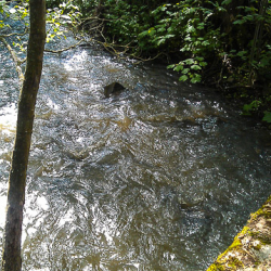 IMAG0457