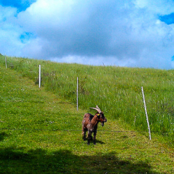 IMAG0458
